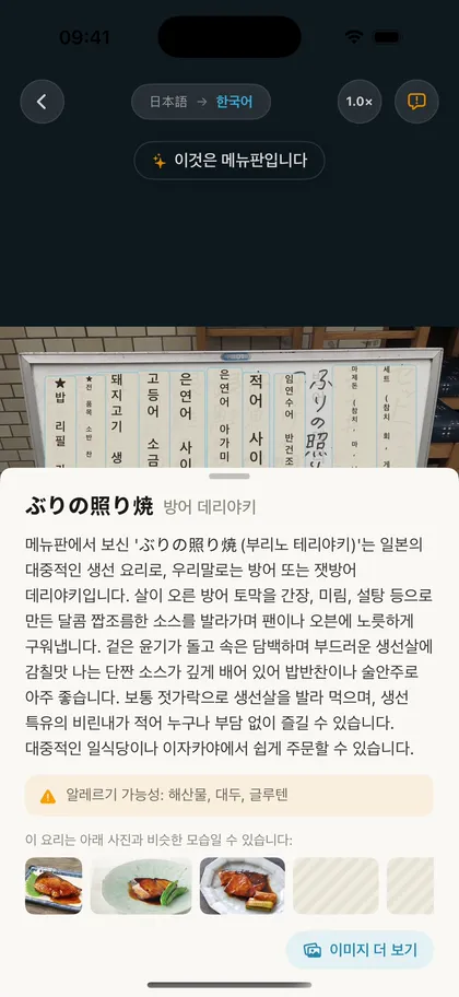 번역된 메뉴판에서 요리를 탭하면 설명, 알레르기 정보, 참고 사진이 나타난다